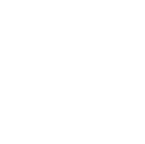Suggested Next Steps